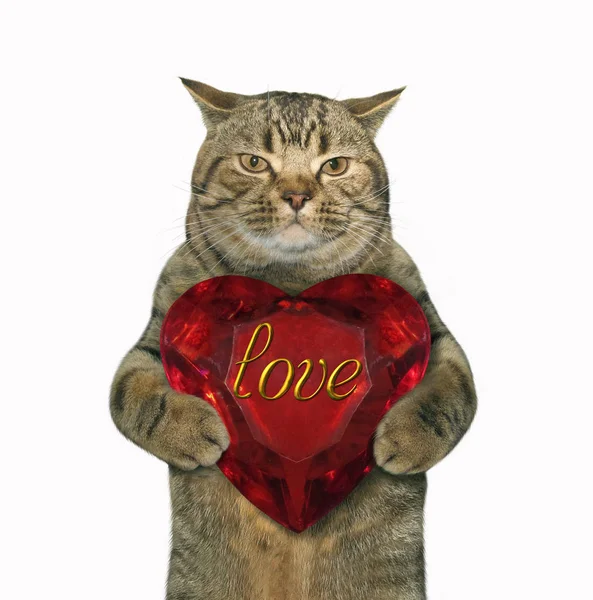 Cat with a ruby heart — Stock Photo, Image