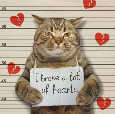 Bad cat broke hearts clipart