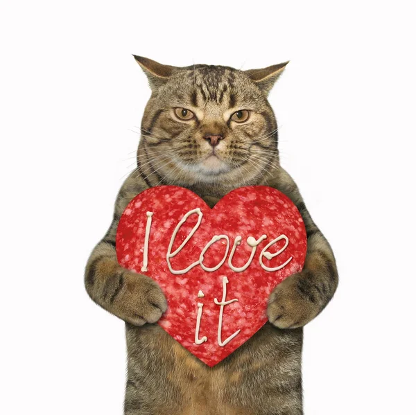 Gato con corazón de salchicha — Foto de Stock