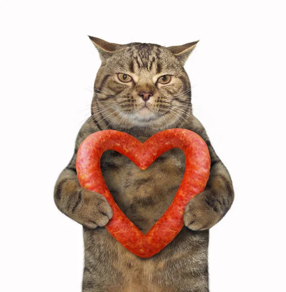 Gato con corazón de salchicha 2 — Foto de Stock