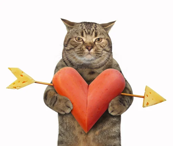 Gato con corazón de salchicha 3 — Foto de Stock
