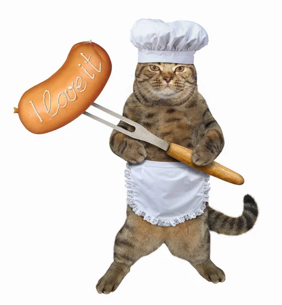 Cat kock med en stor korv — Stockfoto