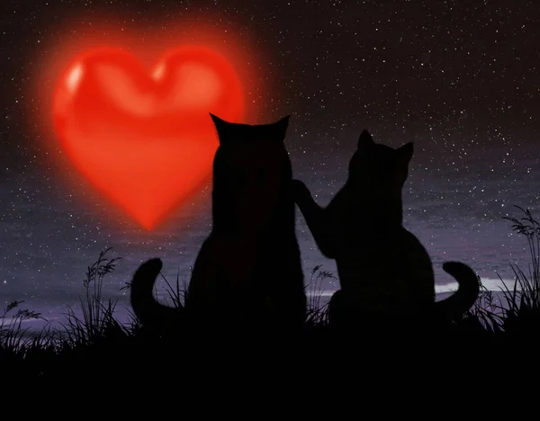 Dos gatos y un gran corazón —  Fotos de Stock