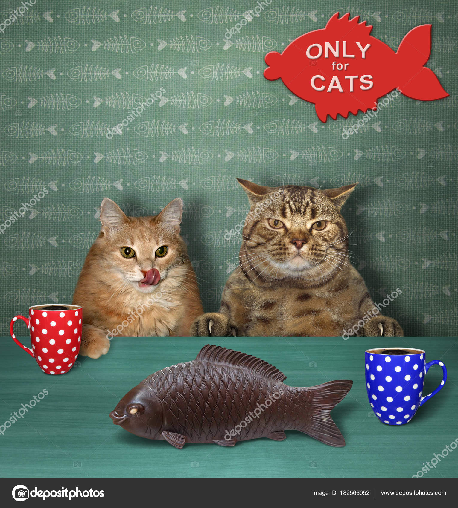 cats on coffee tables