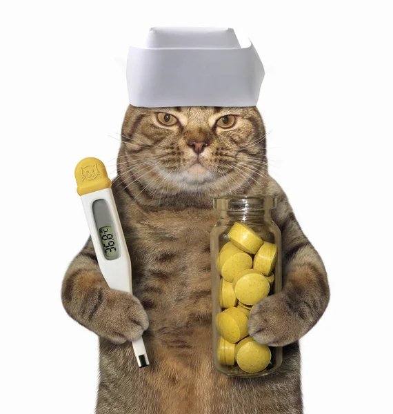 Médecin chat avec thermomètre — Photo
