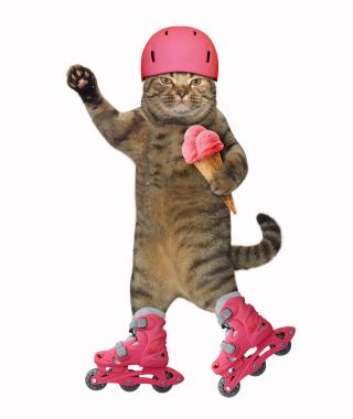 Kedi üzerinde paten dondurma ile