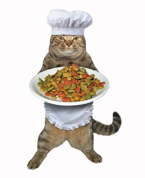Cozinheiro de gato com ração seca — Fotografia de Stock