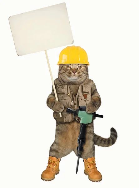 Gato trabajador con bandera — Foto de Stock