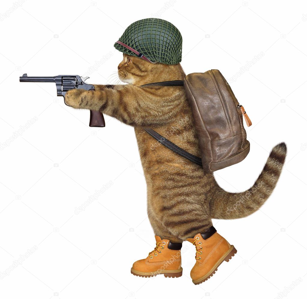 Cat soldier with revolver