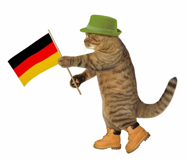 Cat with german flag — Stock Photo, Image