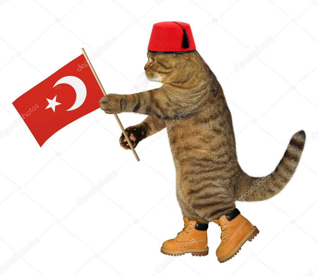 Cat with turkish flag