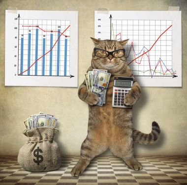 Kedi ekonomist 2