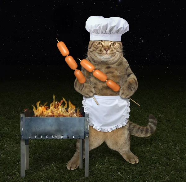 Cozinha gato perto de churrasqueira — Fotografia de Stock