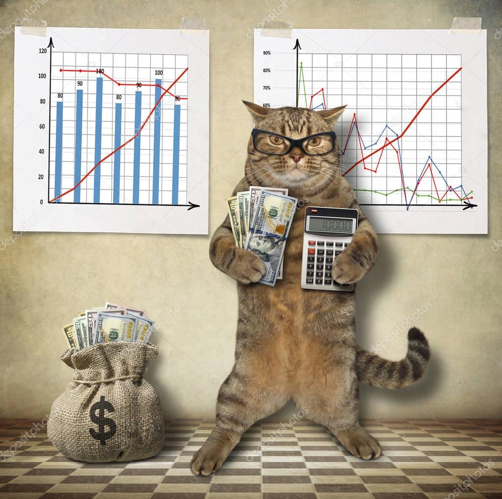 Cat economist 2