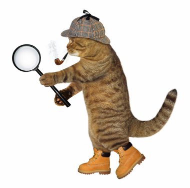Büyüteç ile kedi