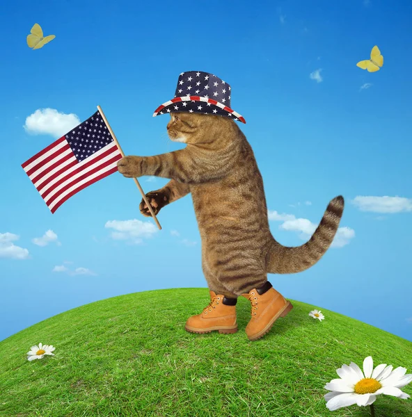 Katze mit amerikanischer Flagge 2 — Stockfoto