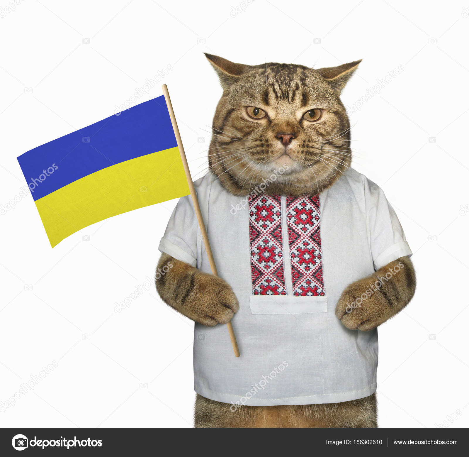 Ukrainian chat Ukrainian chat