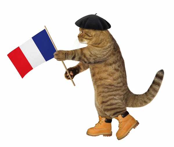 Gato con bandera francesa — Foto de Stock