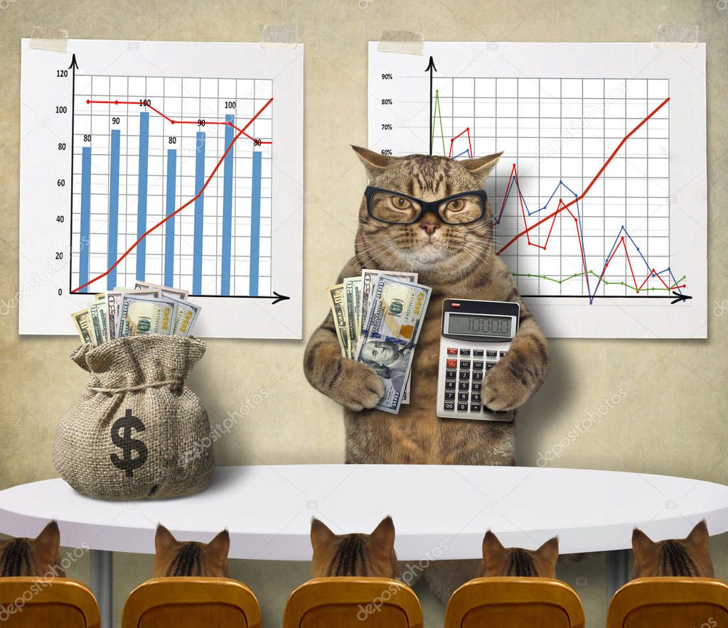 Cat economist 1