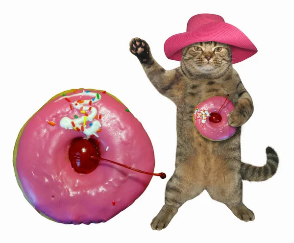 大粉色甜甜圈的猫 — 图库照片