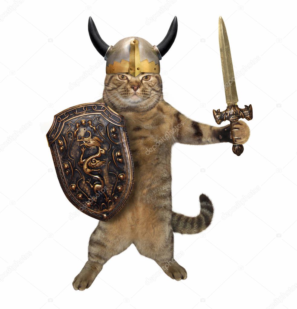 Cat with sword and shield
