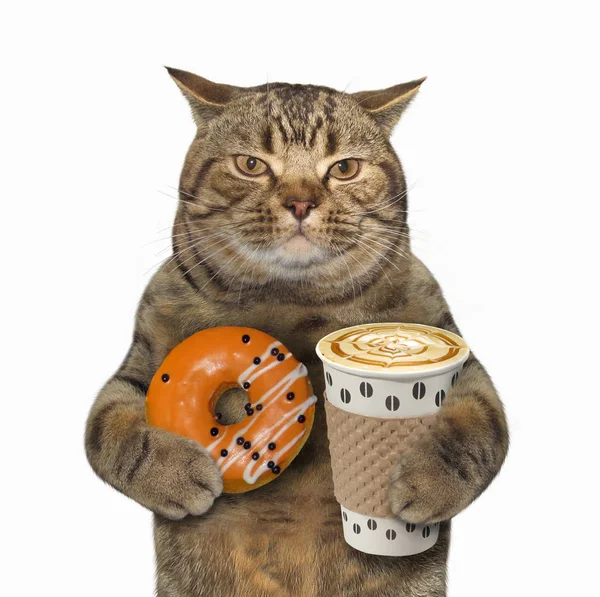 Kot z pomarańczowy pączek i kawa — Zdjęcie stockowe