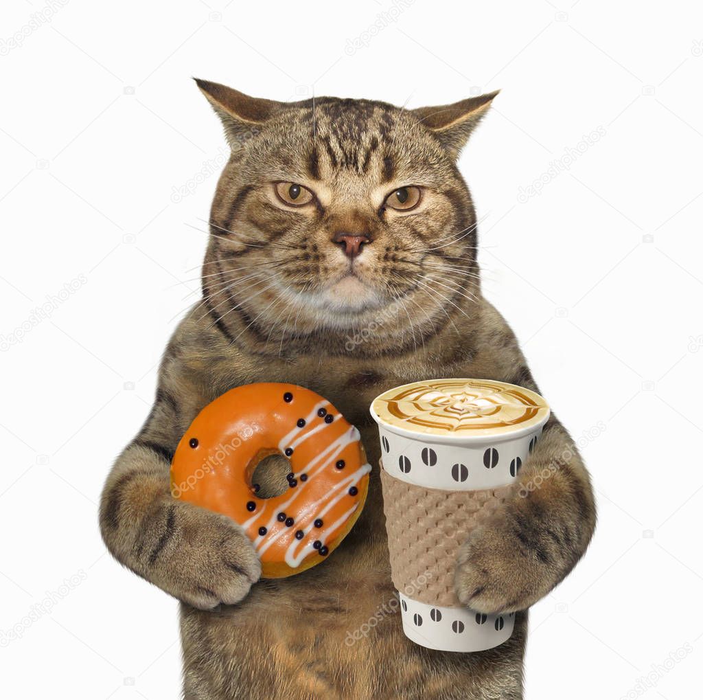 Cat with orange donut and coffee