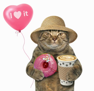 Pembe çörek ve balon ile kedi