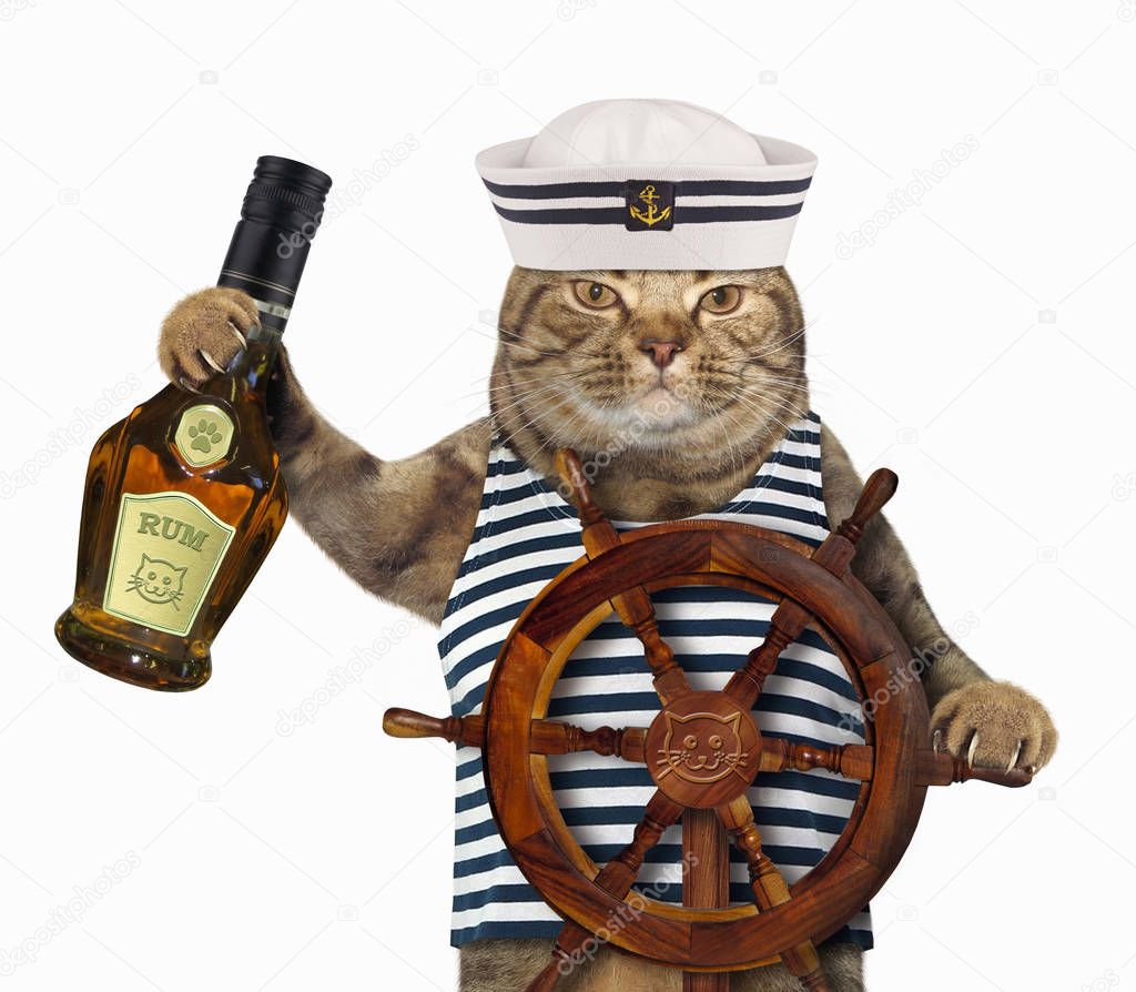 Cat sailor with rum