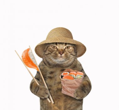 Suşi ve chopsticks 2 ile kedi