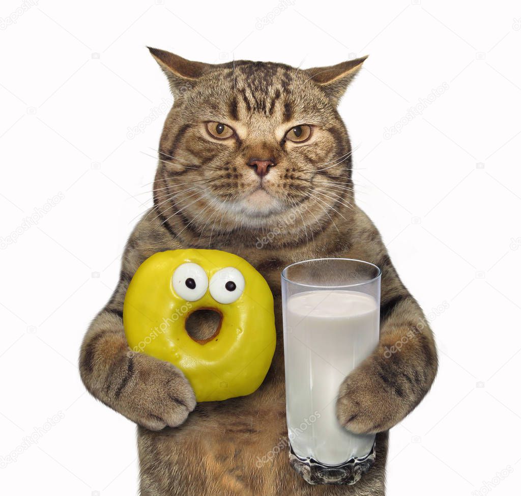 Cat with yellow donut and milk