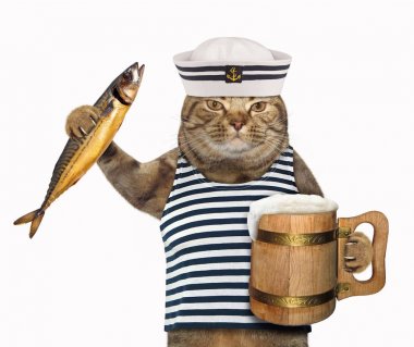 Kedi denizci bira kupa ile