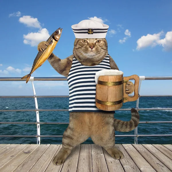 Cat sailor with beer on quay