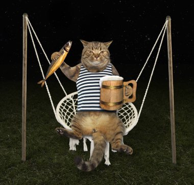 Kedi salıncak bira ile üzerinde