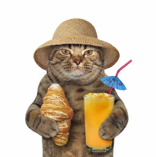 Katze mit Croissant und Saft — Stockfoto