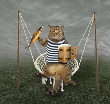 Kedi salıncak ile bira 2 üzerinde