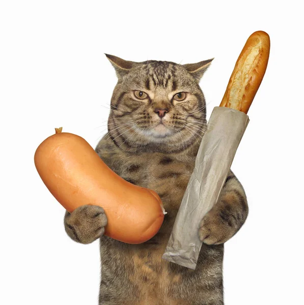 Cat with sausage and french bread — Stock Photo, Image