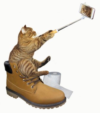 Önyükleme almak selfie kedi