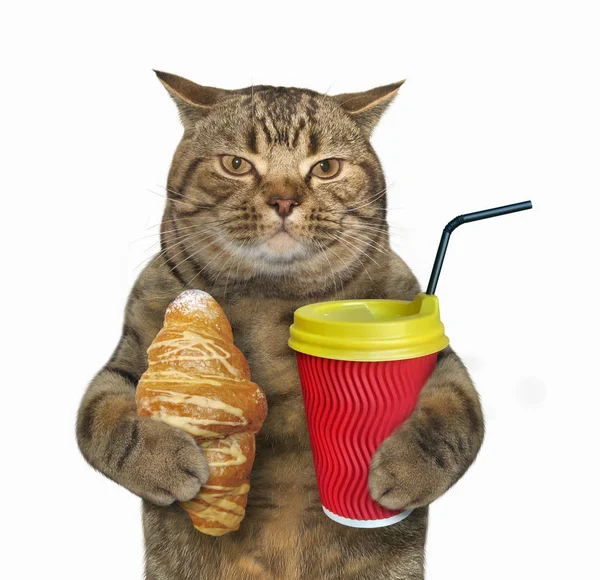 Kot z cappuccino i rogalika — Zdjęcie stockowe
