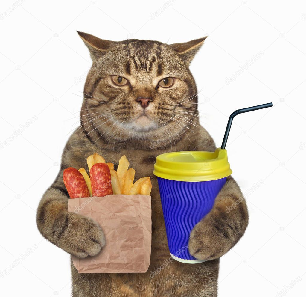 Cat with fried potato and cappuccino