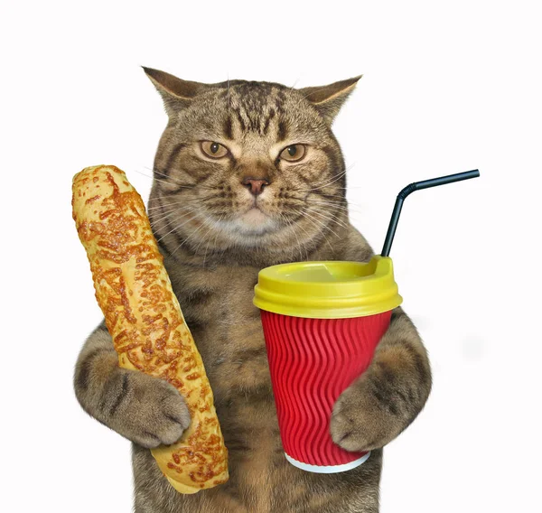 Cat with cheese bun and cappuccino Stock Picture
