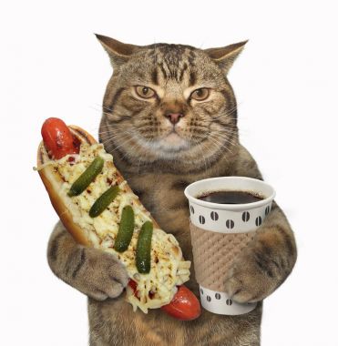 Sosisli ve koyu bir kahve ile kedi