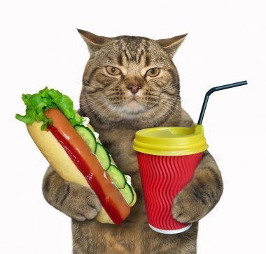 Sosisli sandviç ve kahve ile kedi