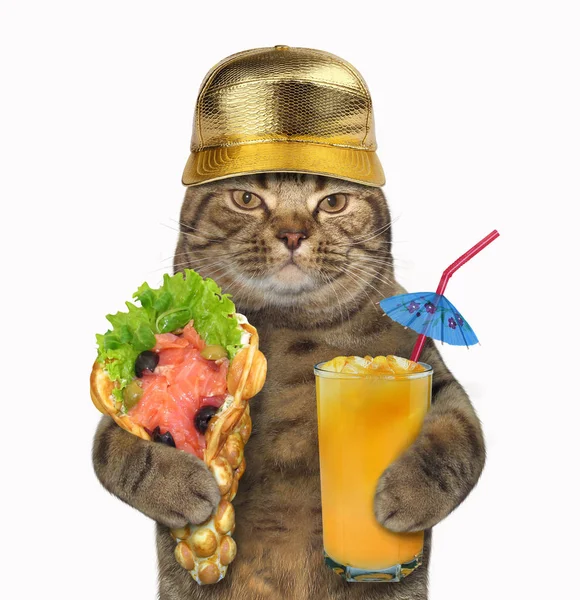 Katt med mjuka våfflor och saft — Stockfoto