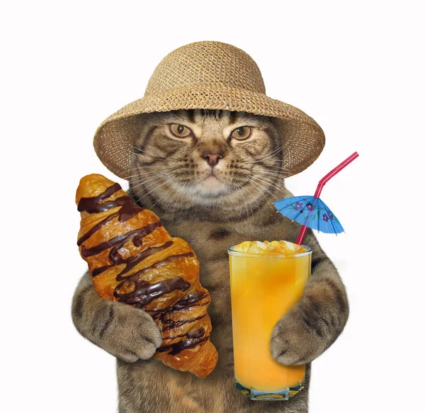 Cat with chocolate bun and juice Stock Photo