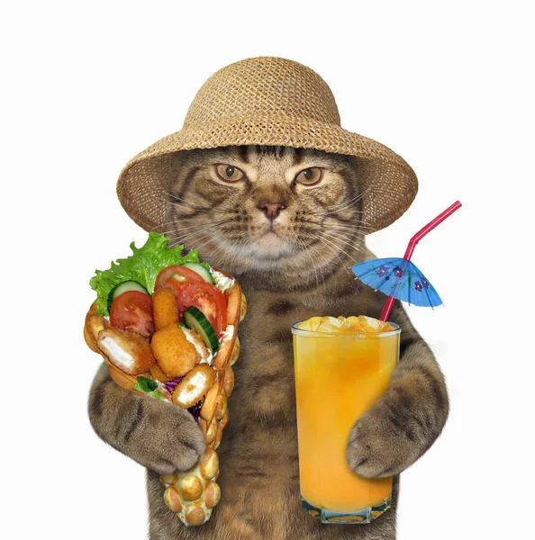 猫用华夫饼和果汁 — 图库照片