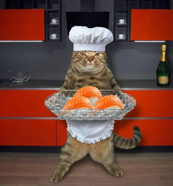 Cat with sushi set in kitchen