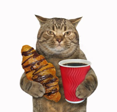 Çikolatalı çörek ve kahve ile kedi