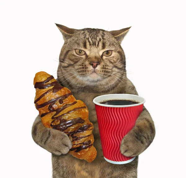 Katze mit Schokoladenbrötchen und Kaffee — Stockfoto