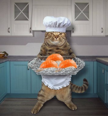Mutfak 2 seti suşi ile kedi